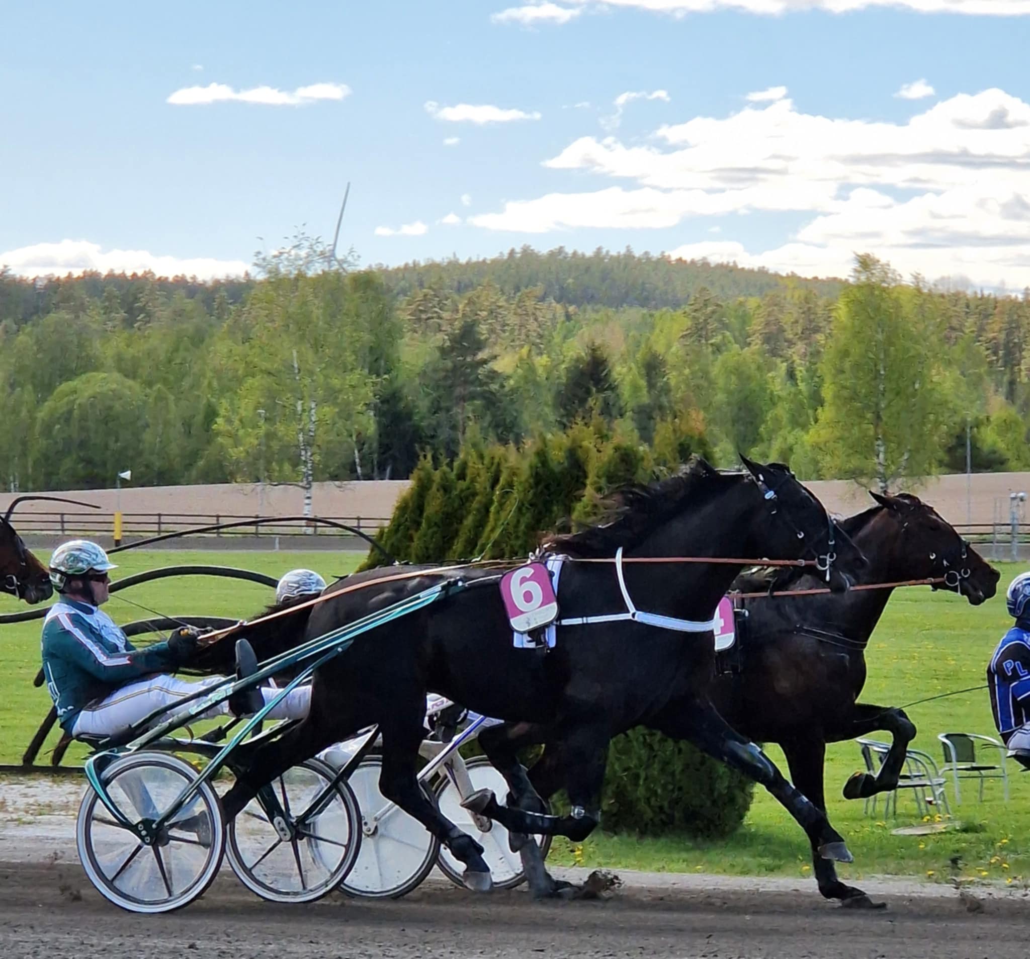 Hitting Hard varvet kvar i debutloppet på Lindesberg. Foto; A.Lindblom